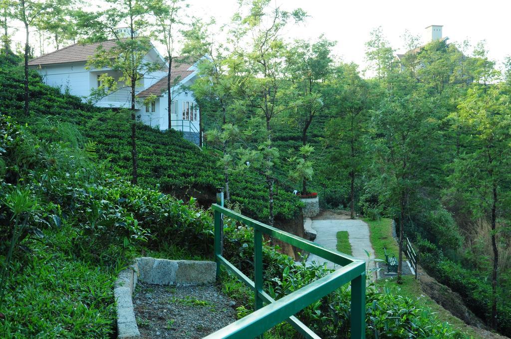 Falcon Crest Vagamon Room photo